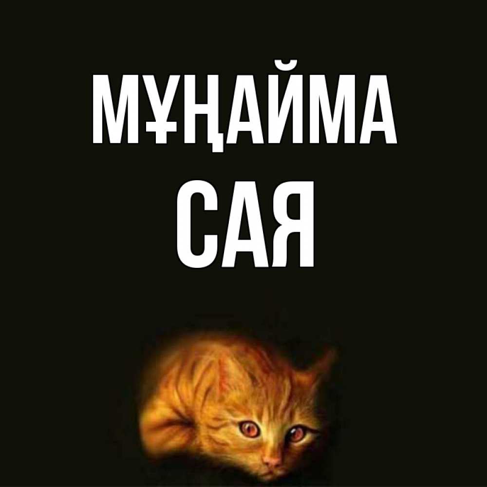 Күн сайын ашық хат с именем, САЯ Мұңайма лежащий кот в темноте Онлайн тегін жүктеп алу тілектері бар керемет карта 