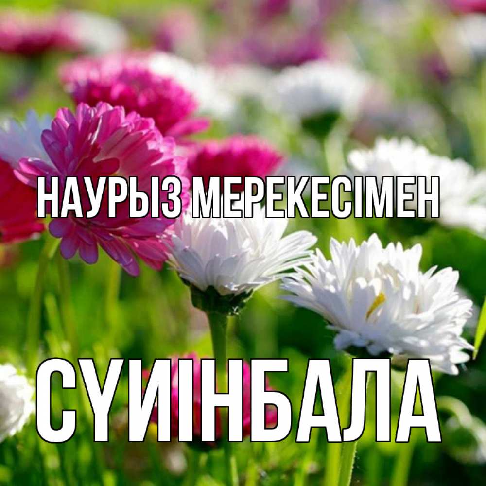 Күн сайын ашық хат с именем, СҮИІНБАЛА Наурыз мерекесімен праздник весны наурыз красота Онлайн тегін жүктеп алу тілектері бар керемет карта 