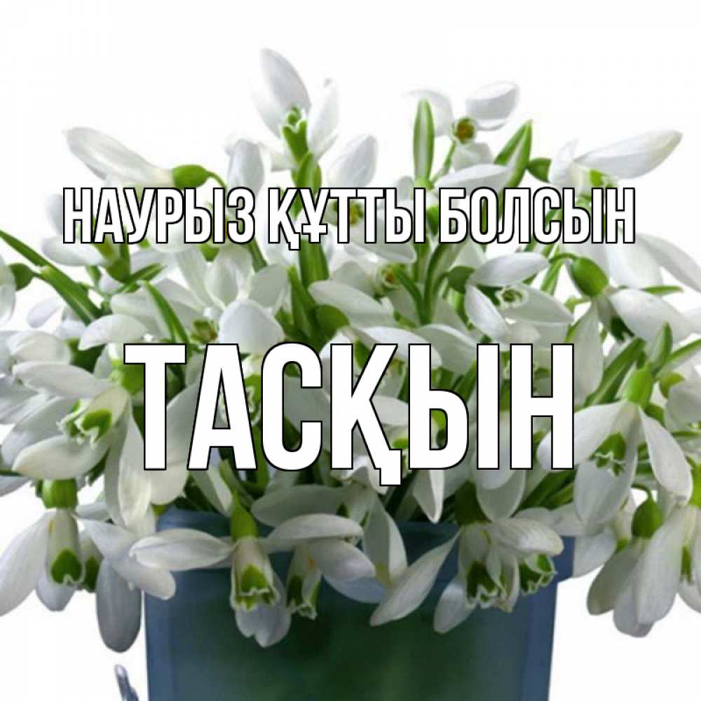 Күн сайын ашық хат с именем, ТАСҚЫН Наурыз құтты болсын цветы к наурызу Онлайн тегін жүктеп алу тілектері бар керемет карта 