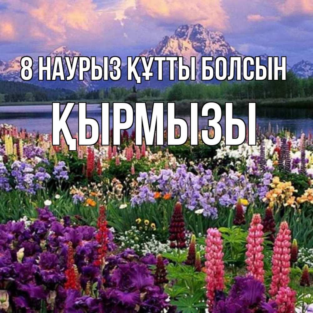 Күн сайын ашық хат с именем, ҚЫРМЫЗЫ 8 наурыз құтты болсын международный женский день Онлайн тегін жүктеп алу тілектері бар керемет карта 