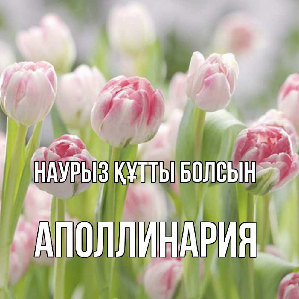 Күн сайын ашық хат с именем, Аполлинария Наурыз құтты болсын цветы Онлайн тегін жүктеп алу тілектері бар керемет карта 