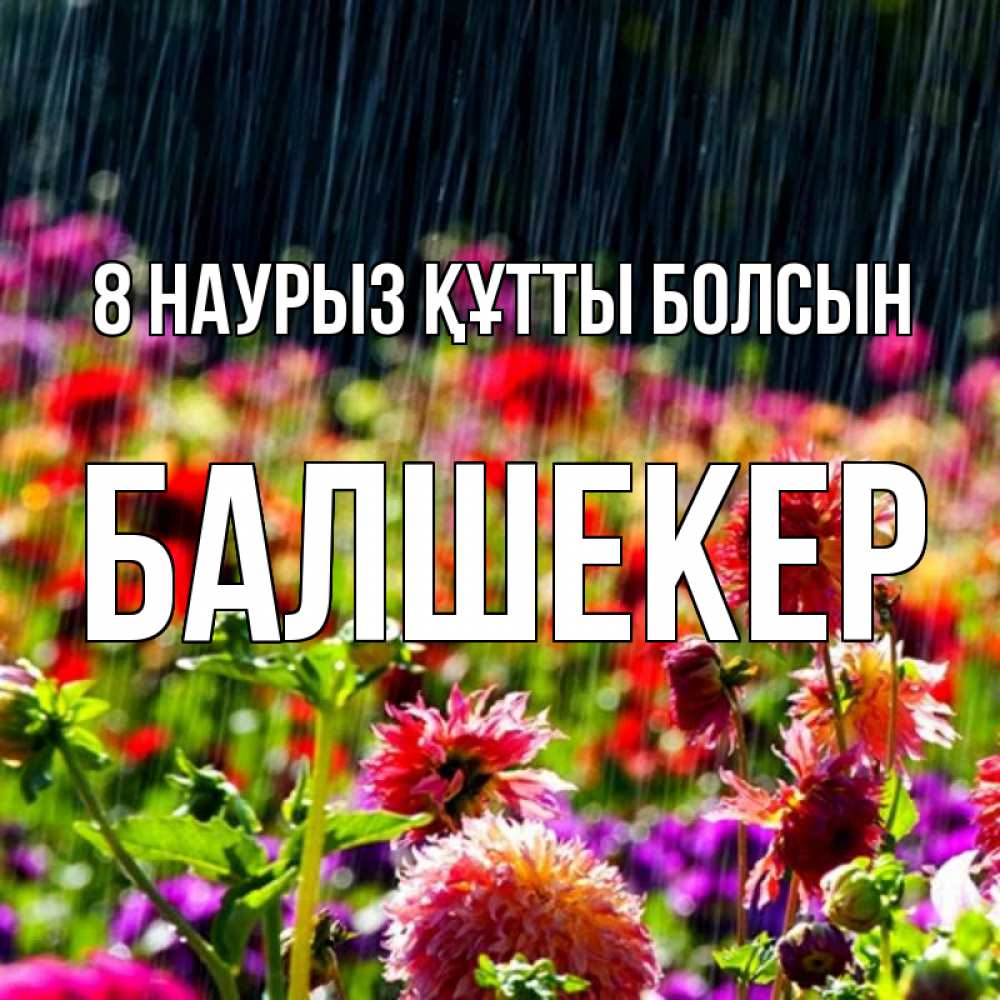 Күн сайын ашық хат с именем, БАЛШЕКЕР 8 наурыз құтты болсын цветы под дождиком к международному женскому дню Онлайн тегін жүктеп алу тілектері бар керемет карта 
