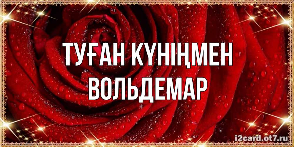 Күн сайын ашық хат с именем, Вольдемар Туған күніңмен роса на розе блестящая в лучах солнца Онлайн тегін жүктеп алу тілектері бар керемет карта 