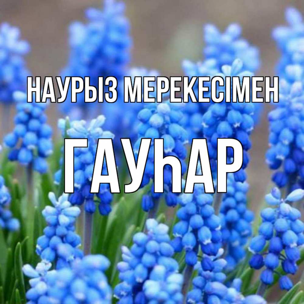 Күн сайын ашық хат с именем, Гауһар Наурыз мерекесімен Поздравительная открытка для женщин с цветами на праздничную дату Онлайн тегін жүктеп алу тілектері бар керемет карта 