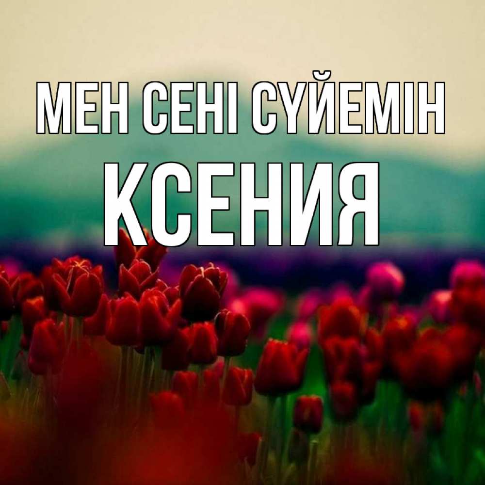 Күн сайын ашық хат с именем, Ксения Мен сені сүйемін тюльпаны 4 Онлайн тегін жүктеп алу тілектері бар керемет карта 