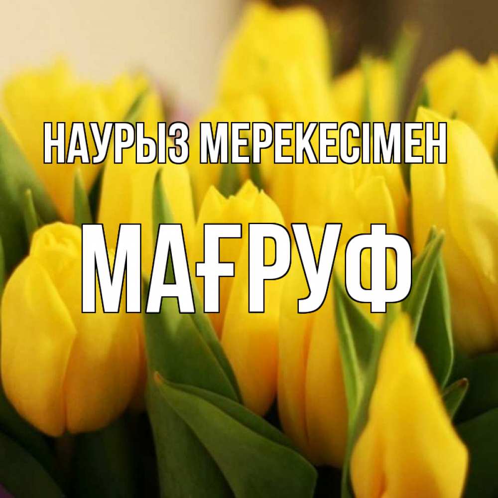 Күн сайын ашық хат с именем, МАҒРУФ Наурыз мерекесімен цветы Онлайн тегін жүктеп алу тілектері бар керемет карта 