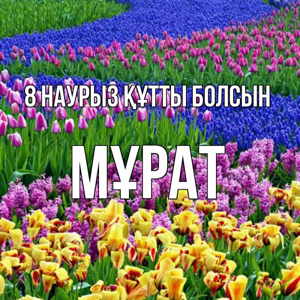 Күн сайын ашық хат с именем, МҰРАТ 8 наурыз құтты болсын цветы Онлайн тегін жүктеп алу тілектері бар керемет карта 