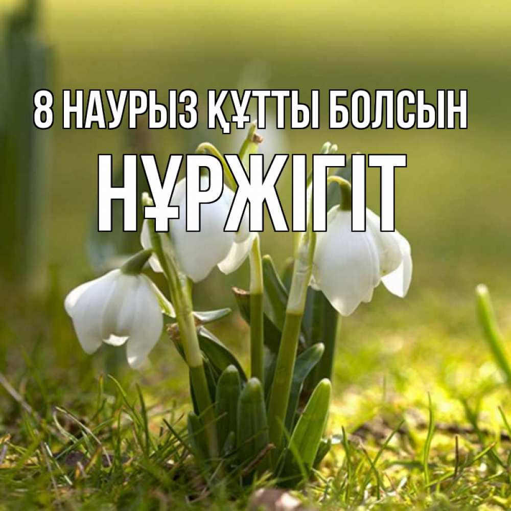 Күн сайын ашық хат с именем, НҰРЖІГІТ 8 наурыз құтты болсын ранние цветы 2 Онлайн тегін жүктеп алу тілектері бар керемет карта 