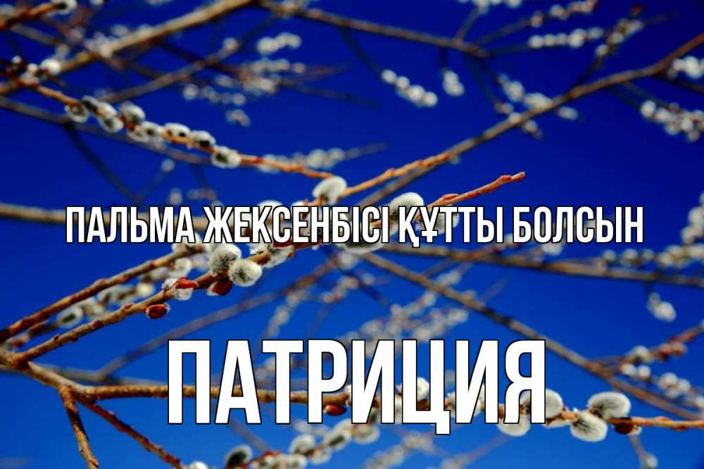 Күн сайын ашық хат с именем, Патриция Пальма жексенбісі құтты болсын верба Онлайн тегін жүктеп алу тілектері бар керемет карта 