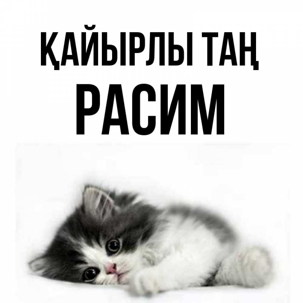 Күн сайын ашық хат с именем, Расим Қайырлы таң кот лапки Онлайн тегін жүктеп алу тілектері бар керемет карта 