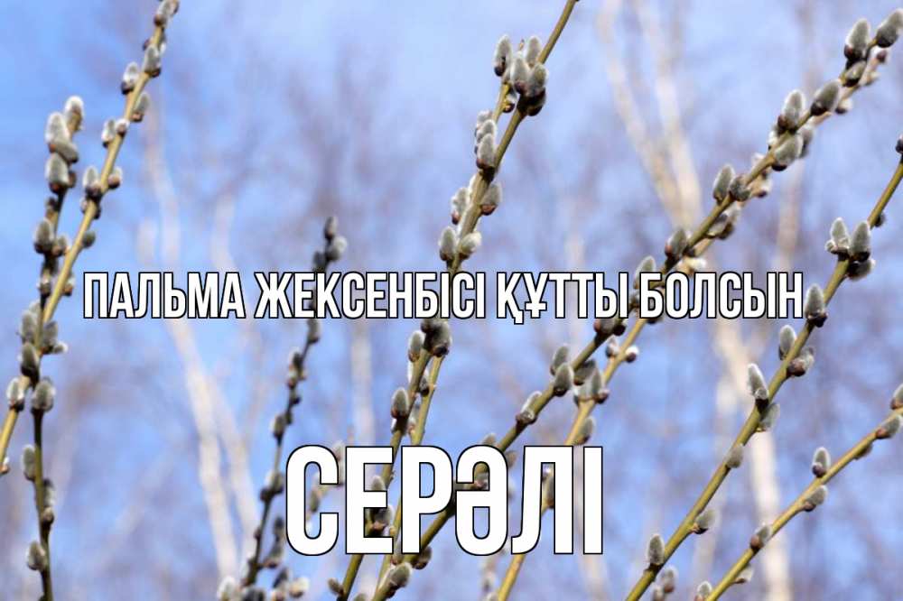 Күн сайын ашық хат с именем, СЕРӘЛІ Пальма жексенбісі құтты болсын верба Онлайн тегін жүктеп алу тілектері бар керемет карта 