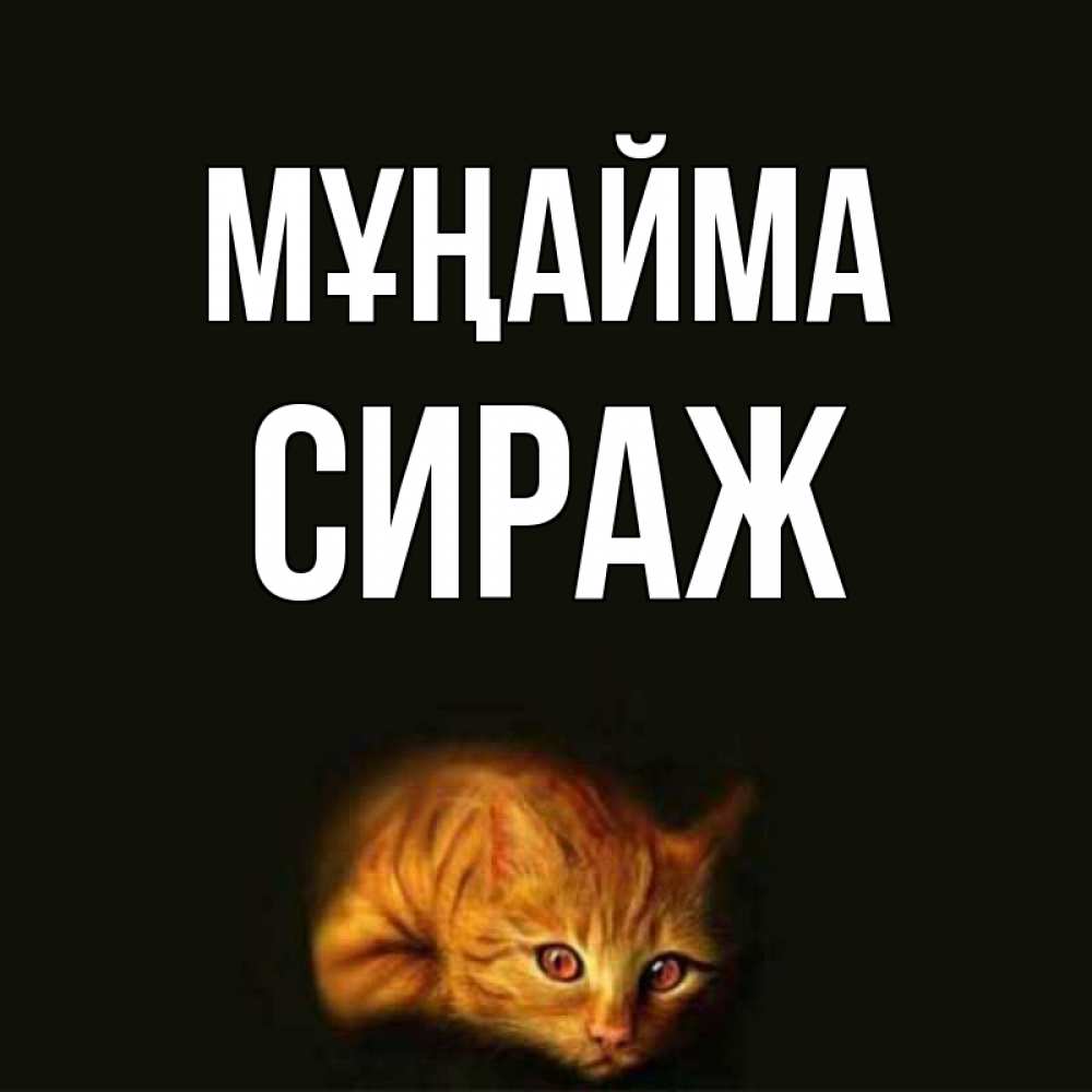 Күн сайын ашық хат с именем, СИРАЖ Мұңайма лежащий кот в темноте Онлайн тегін жүктеп алу тілектері бар керемет карта 