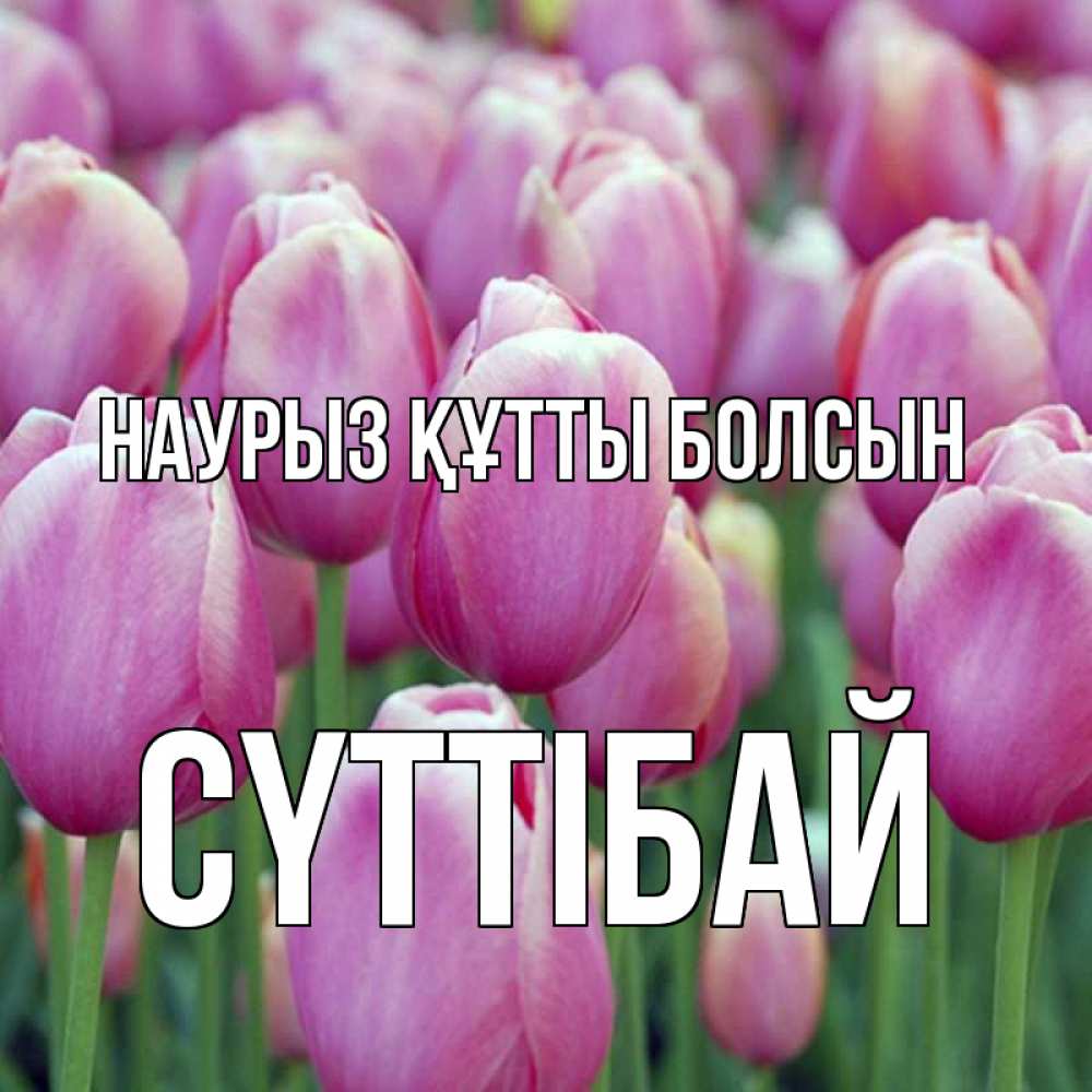 Күн сайын ашық хат с именем, СҮТТІБАЙ Наурыз құтты болсын на наурыз  день 3 Онлайн тегін жүктеп алу тілектері бар керемет карта 