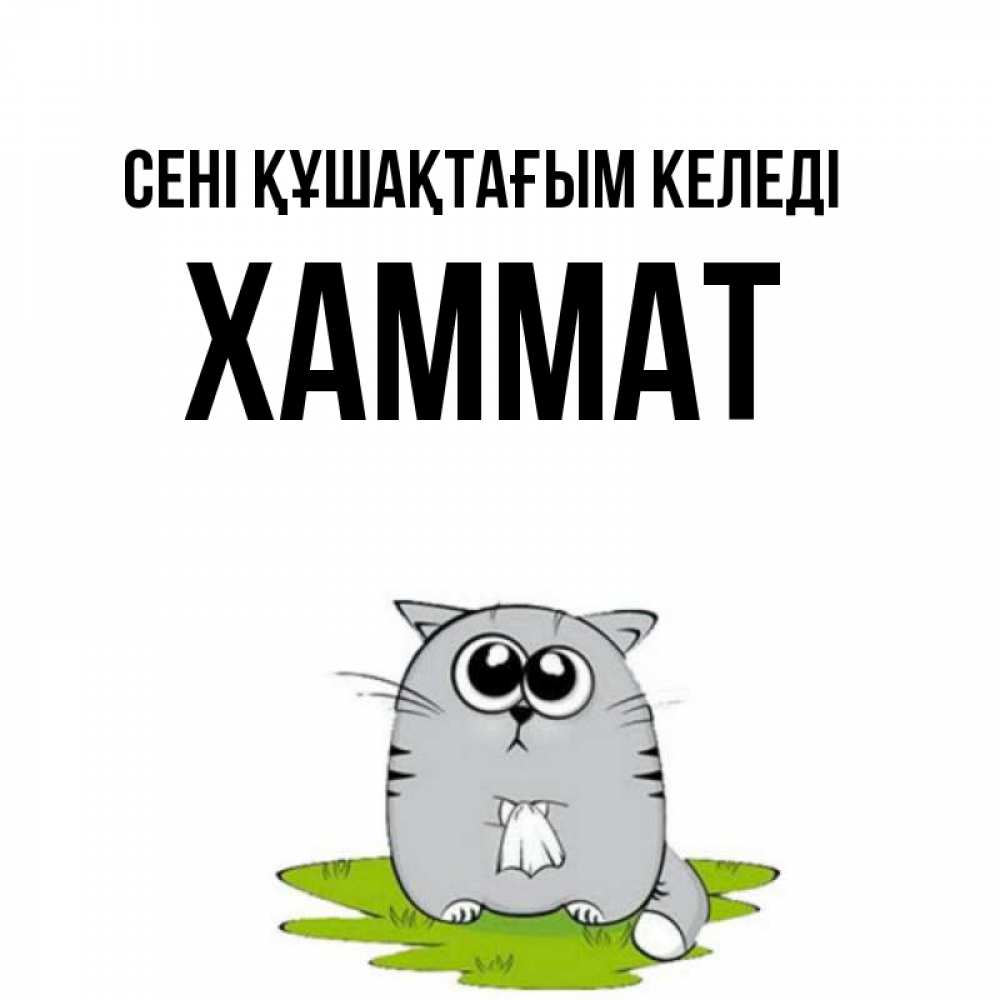 Күн сайын ашық хат с именем, ХАММАТ сені құшақтағым келеді котик теребит платочек сидя на травке Онлайн тегін жүктеп алу тілектері бар керемет карта 