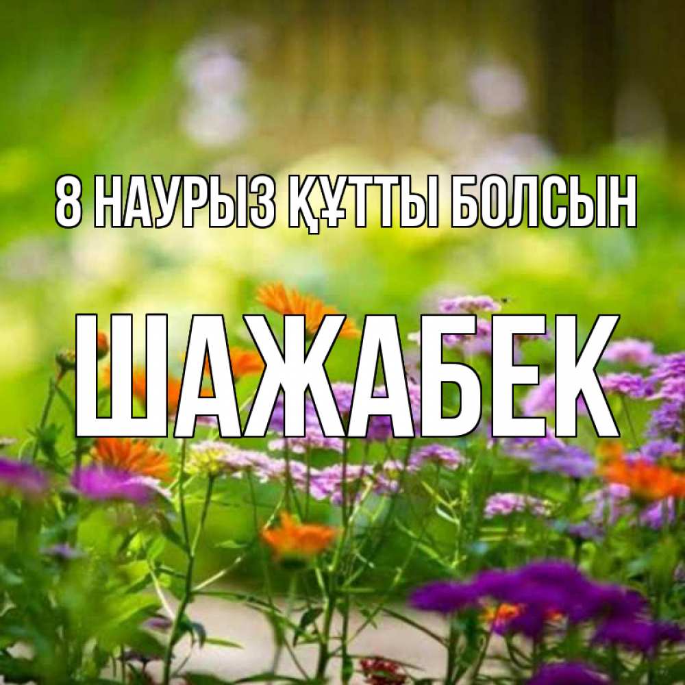 Күн сайын ашық хат с именем, ШАЖАБЕК 8 наурыз құтты болсын цветы Онлайн тегін жүктеп алу тілектері бар керемет карта 