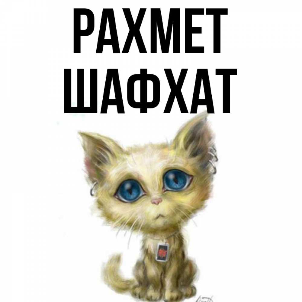 Күн сайын ашық хат с именем, ШАФХАТ рахмет рисованный кот благодарит вас Онлайн тегін жүктеп алу тілектері бар керемет карта 