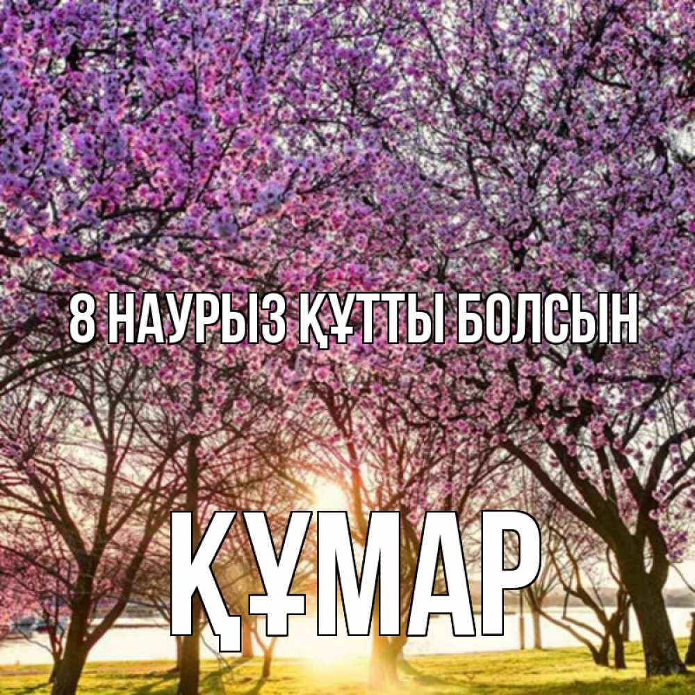 Күн сайын ашық хат с именем, ҚҰМАР 8 наурыз құтты болсын международный женский день Онлайн тегін жүктеп алу тілектері бар керемет карта 