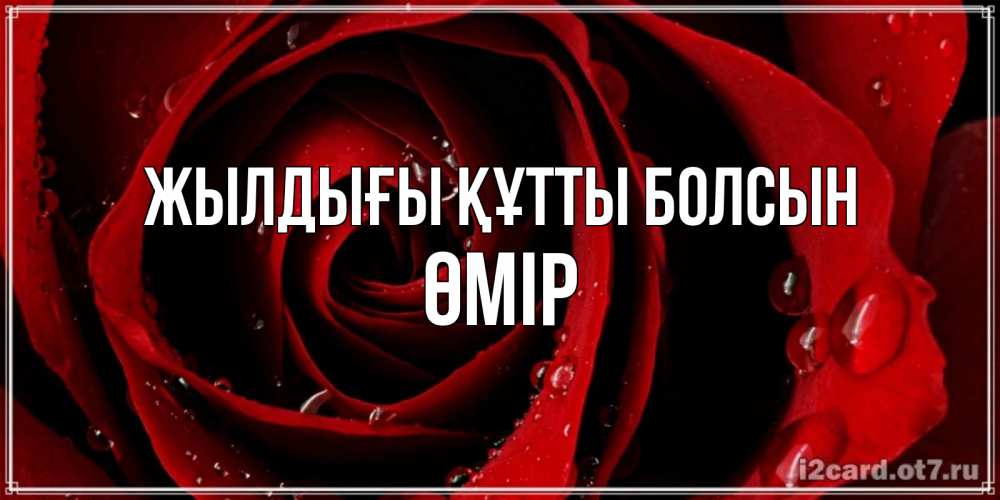 Күн сайын ашық хат с именем, ӨМІР Жылдығы құтты болсын крупная бордовая роза Онлайн тегін жүктеп алу тілектері бар керемет карта 