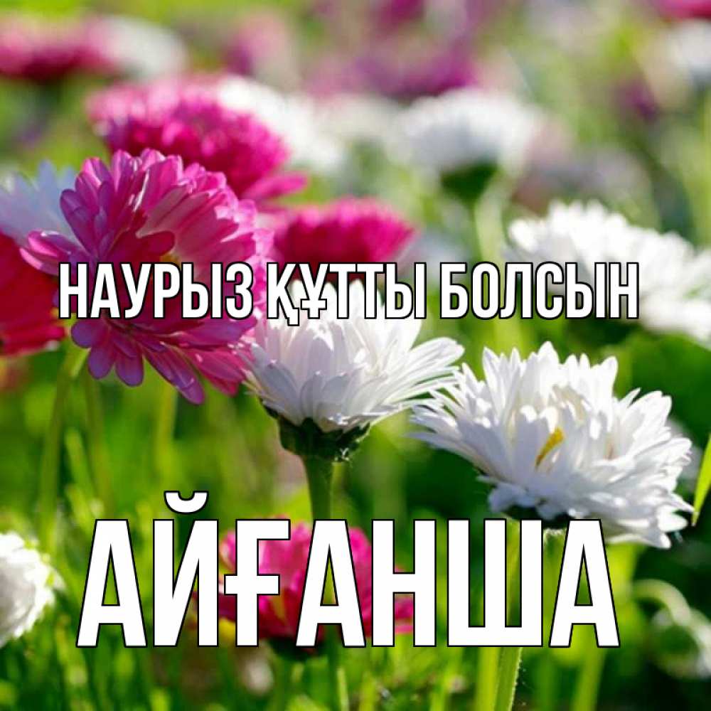 Күн сайын ашық хат с именем, АЙҒАНША Наурыз құтты болсын наурыз Онлайн тегін жүктеп алу тілектері бар керемет карта 