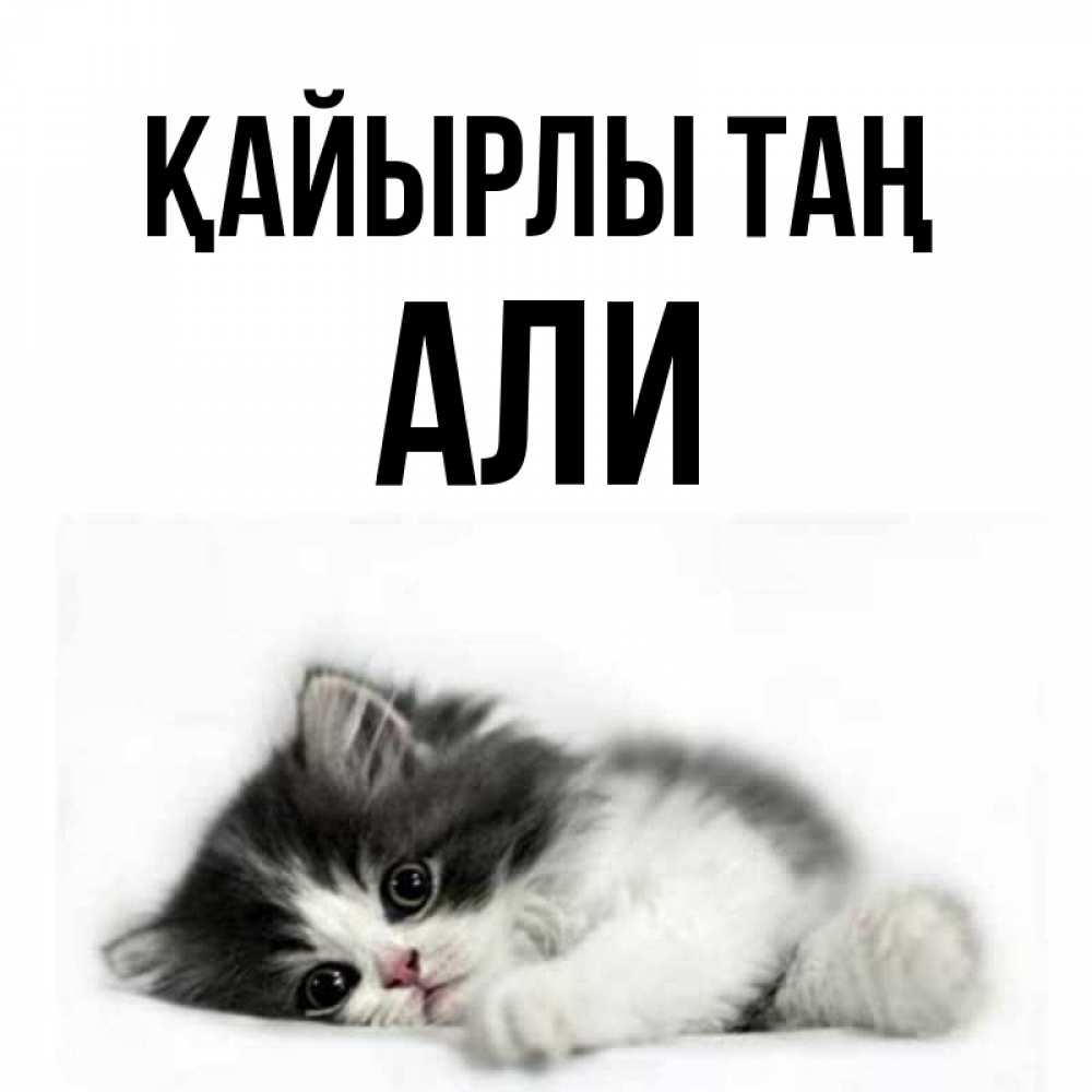 Күн сайын ашық хат с именем, Али Қайырлы таң кот лапки Онлайн тегін жүктеп алу тілектері бар керемет карта 