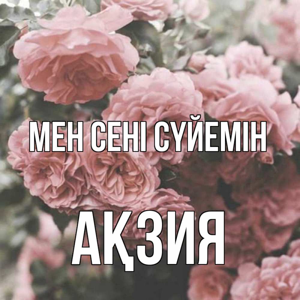 Күн сайын ашық хат с именем, Ақзия Мен сені сүйемін розы 3 Онлайн тегін жүктеп алу тілектері бар керемет карта 