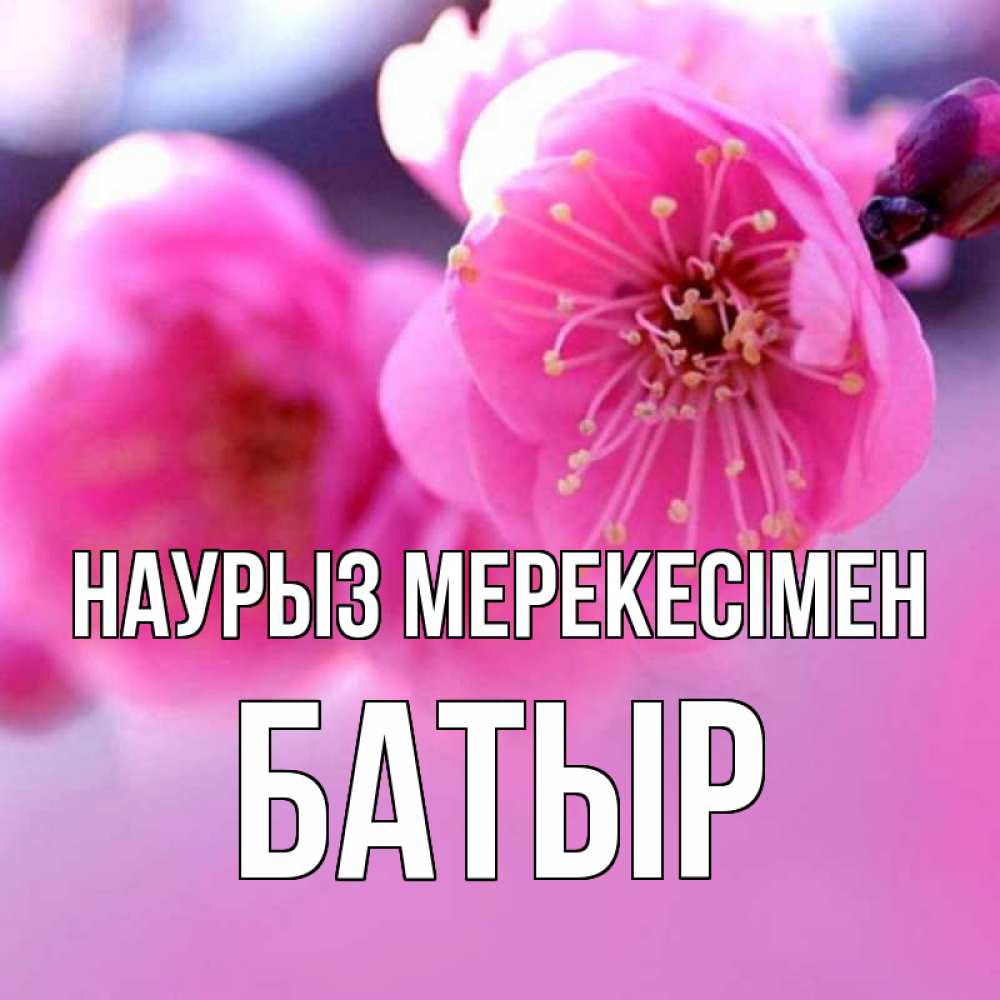 Күн сайын ашық хат с именем, Батыр Наурыз мерекесімен международный женский день Онлайн тегін жүктеп алу тілектері бар керемет карта 