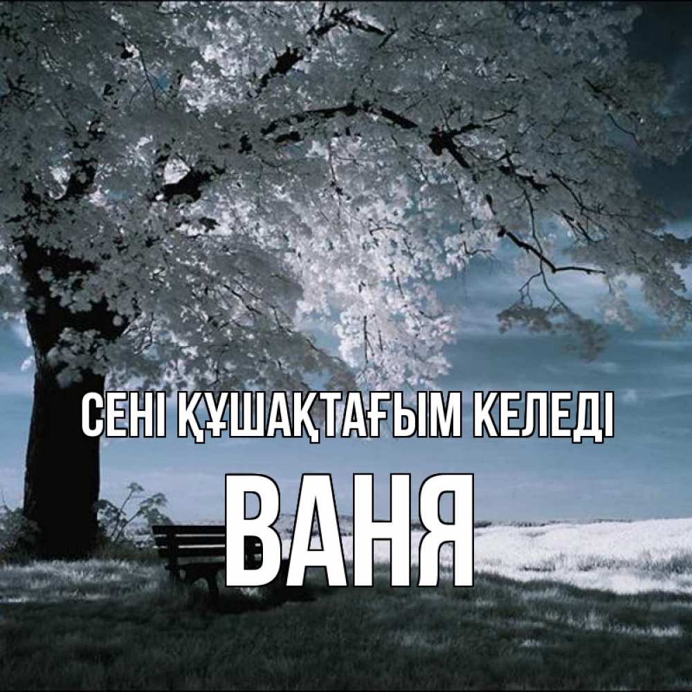 Күн сайын ашық хат с именем, Ваня сені құшақтағым келеді дерево Онлайн тегін жүктеп алу тілектері бар керемет карта 