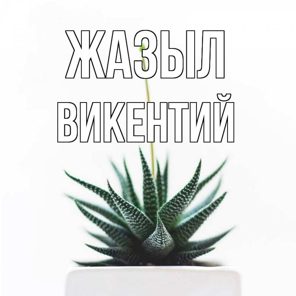 Күн сайын ашық хат с именем, Викентий Жазыл короче это непонятная колючка Онлайн тегін жүктеп алу тілектері бар керемет карта 