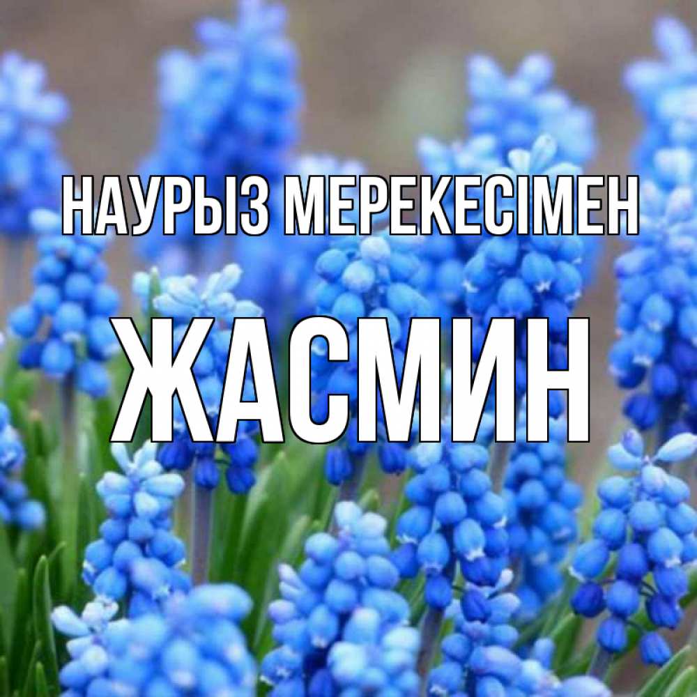 Күн сайын ашық хат с именем, Жасмин Наурыз мерекесімен Поздравительная открытка для женщин с цветами на праздничную дату Онлайн тегін жүктеп алу тілектері бар керемет карта 