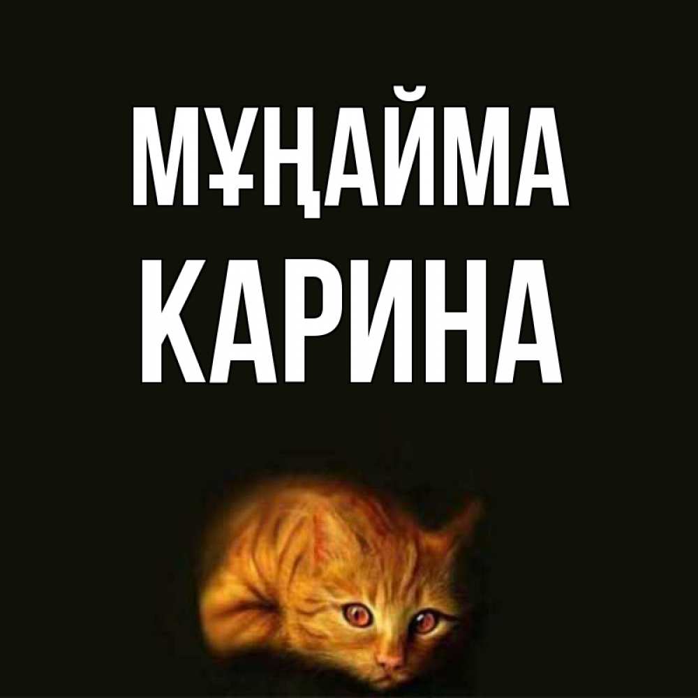 Күн сайын ашық хат с именем, Карина Мұңайма лежащий кот в темноте Онлайн тегін жүктеп алу тілектері бар керемет карта 