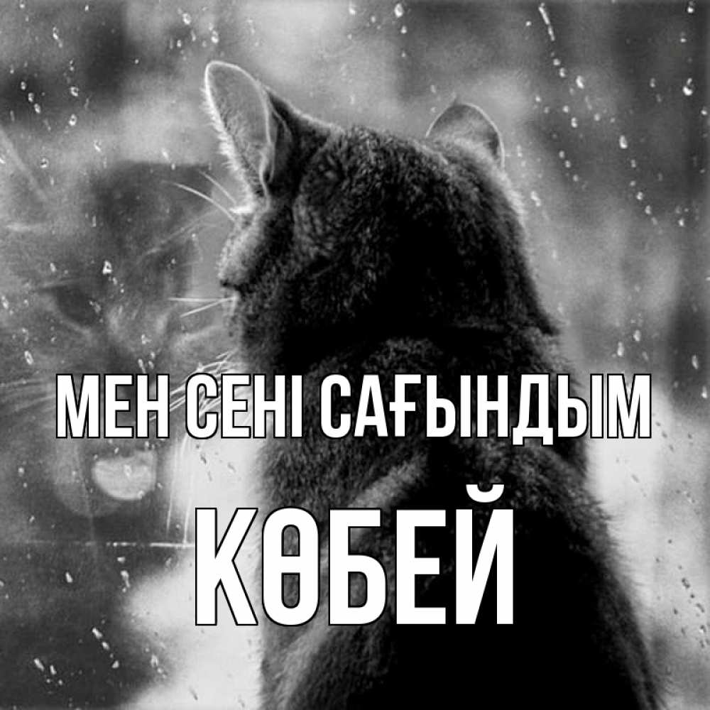 Күн сайын ашық хат с именем, Көбей Мен сені сағындым скорее ко мне приходи 1 Онлайн тегін жүктеп алу тілектері бар керемет карта 