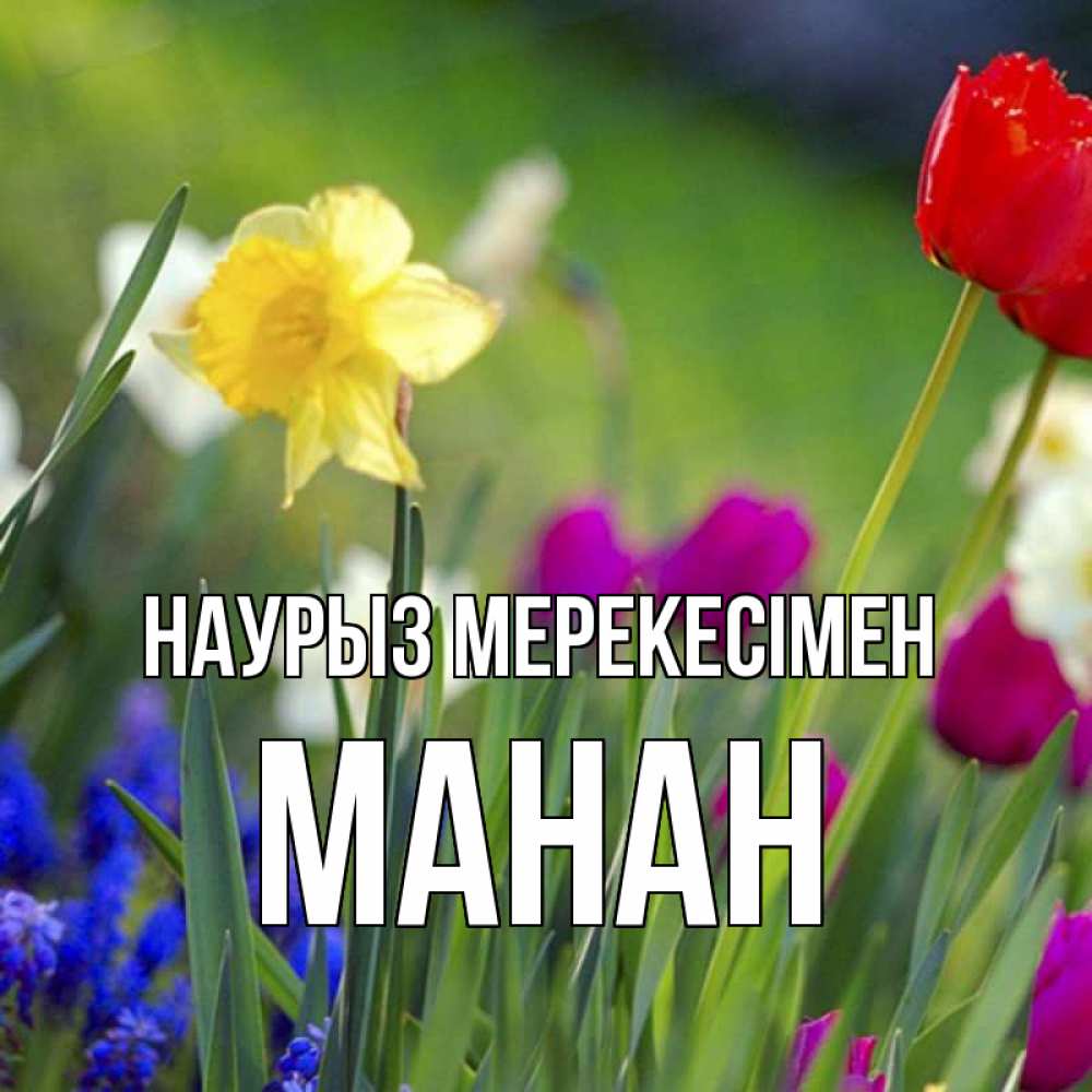 Күн сайын ашық хат с именем, МАНАН Наурыз мерекесімен праздник весны наурыз 3 Онлайн тегін жүктеп алу тілектері бар керемет карта 