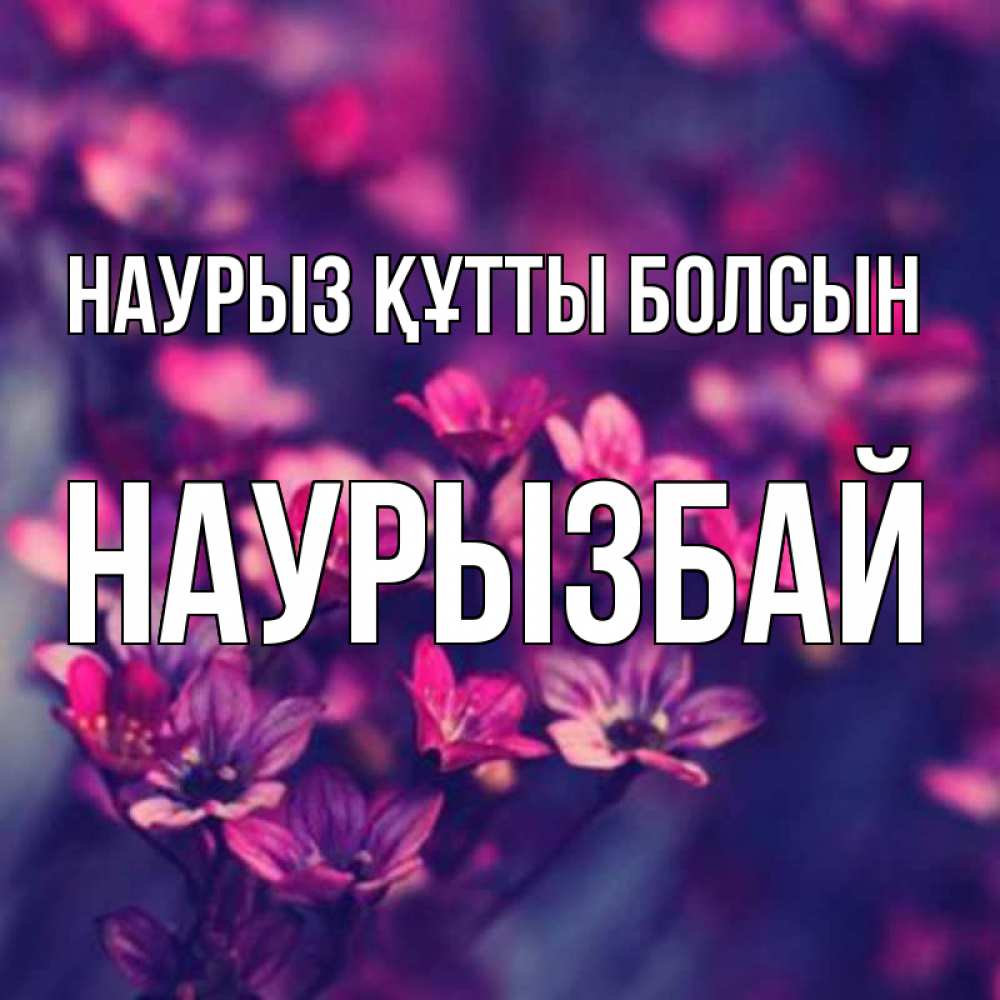 Күн сайын ашық хат с именем, Наурызбай Наурыз құтты болсын небольшие цветы 1 Онлайн тегін жүктеп алу тілектері бар керемет карта 
