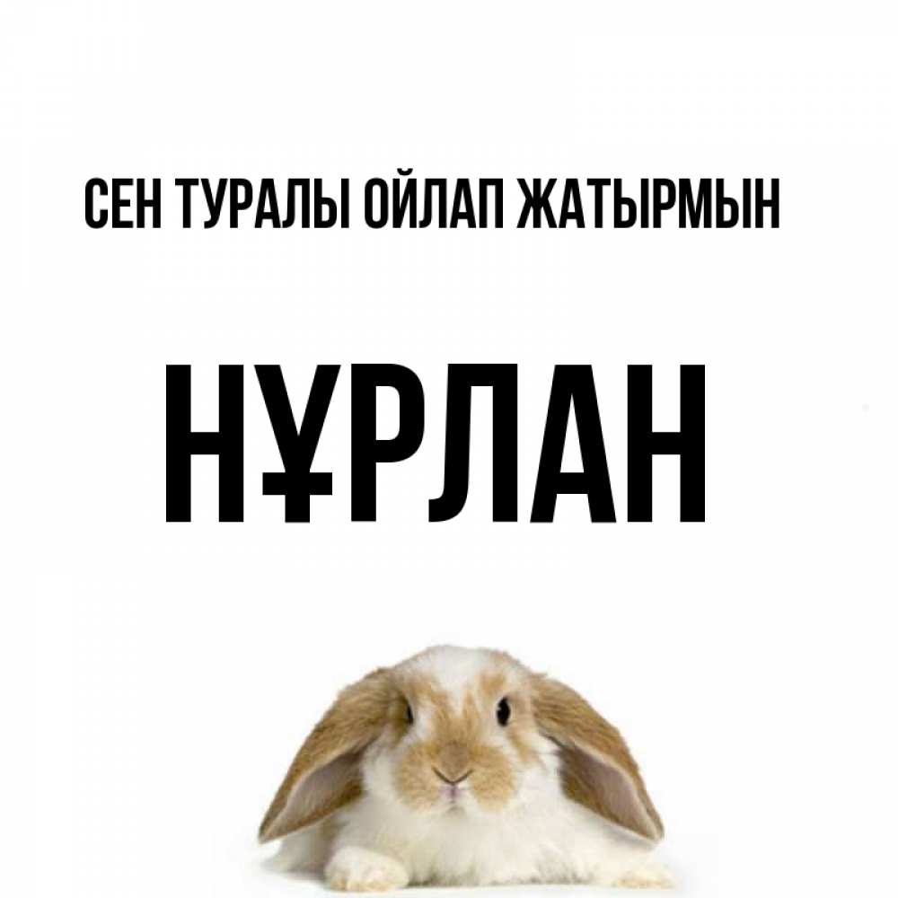 Күн сайын ашық хат с именем, НҰРЛАН Сен туралы ойлап жатырмын подписать своими руками онлайн Онлайн тегін жүктеп алу тілектері бар керемет карта 
