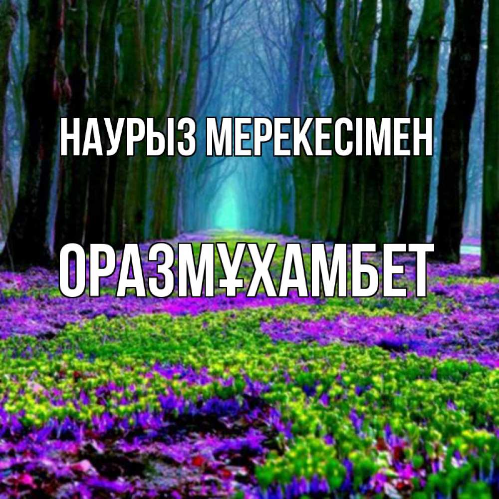 Күн сайын ашық хат с именем, ОРАЗМҰХАМБЕТ Наурыз мерекесімен фиолетовые цветы в лесу 1 Онлайн тегін жүктеп алу тілектері бар керемет карта 