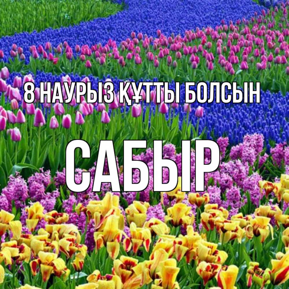Күн сайын ашық хат с именем, САБЫР 8 наурыз құтты болсын цветы Онлайн тегін жүктеп алу тілектері бар керемет карта 