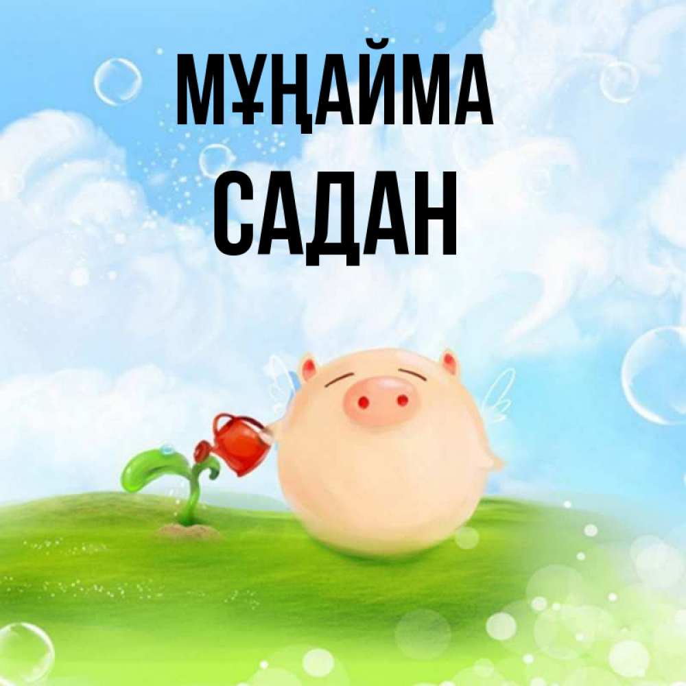 Күн сайын ашық хат с именем, САДАН Мұңайма поливает цветок порося Онлайн тегін жүктеп алу тілектері бар керемет карта 