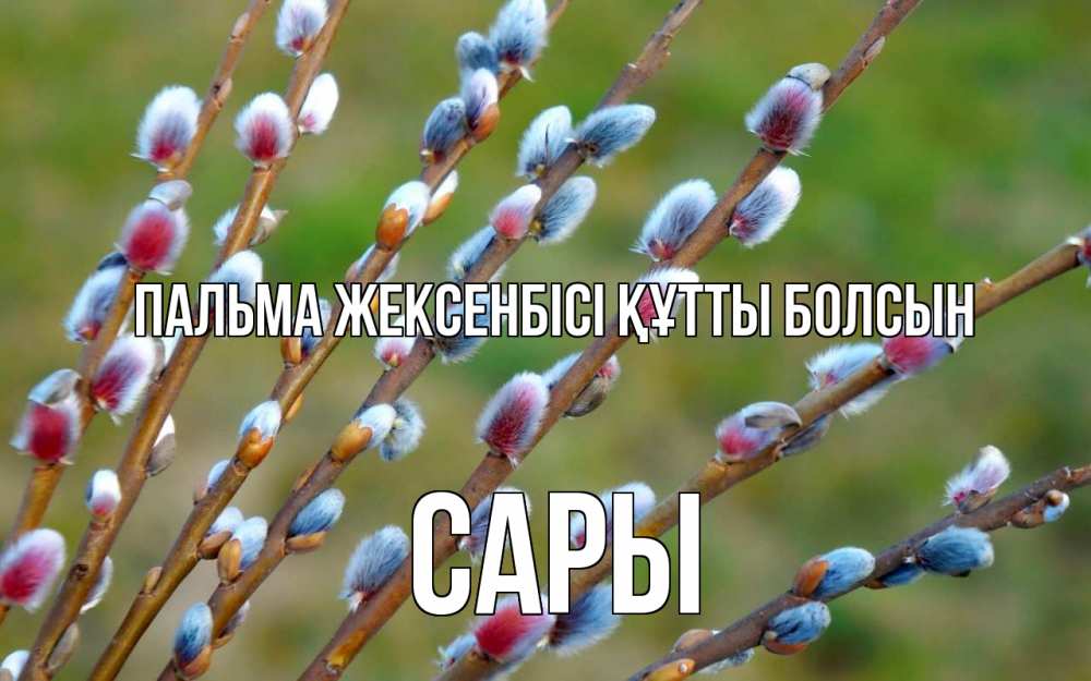 Күн сайын ашық хат с именем, САРЫ Пальма жексенбісі құтты болсын верба Онлайн тегін жүктеп алу тілектері бар керемет карта 