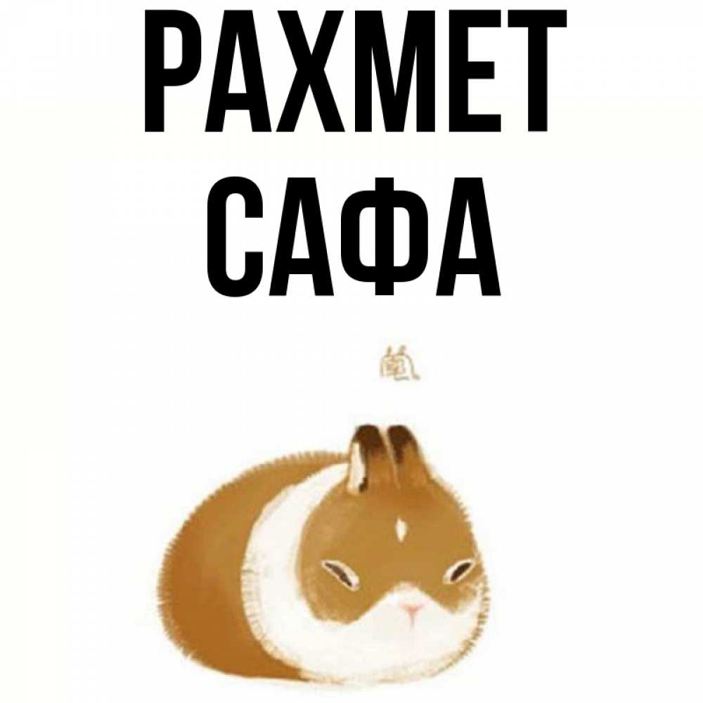Күн сайын ашық хат с именем, САФА рахмет коричнево белый домашний питомец Онлайн тегін жүктеп алу тілектері бар керемет карта 