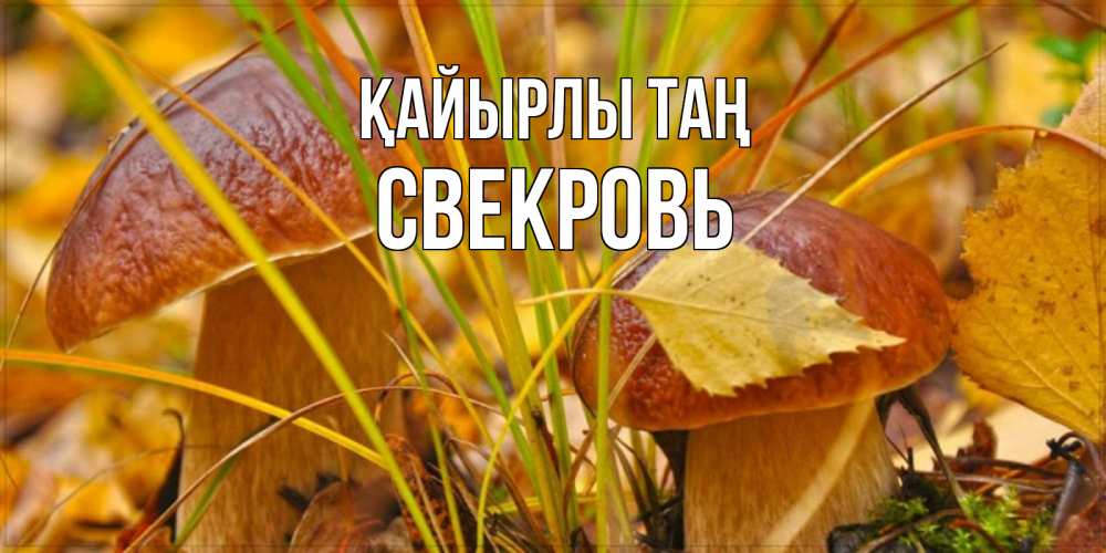 Күн сайын ашық хат с именем, Свекровь Қайырлы таң осенние грибы Онлайн тегін жүктеп алу тілектері бар керемет карта 