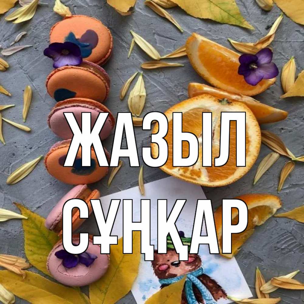 Күн сайын ашық хат с именем, СҰҢҚАР Жазыл не болейте Онлайн тегін жүктеп алу тілектері бар керемет карта 