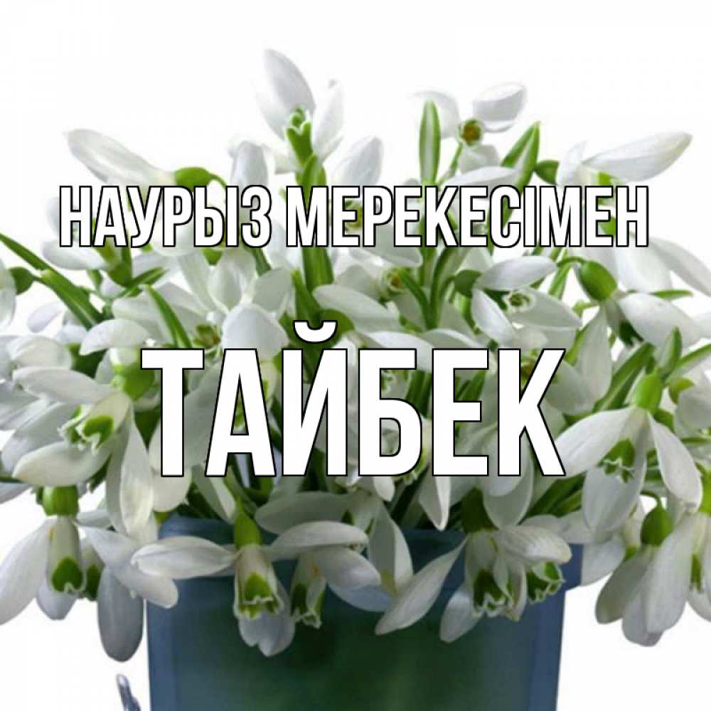 Күн сайын ашық хат с именем, ТАЙБЕК Наурыз мерекесімен цветы к наурызу новый год в Казахстане Онлайн тегін жүктеп алу тілектері бар керемет карта 