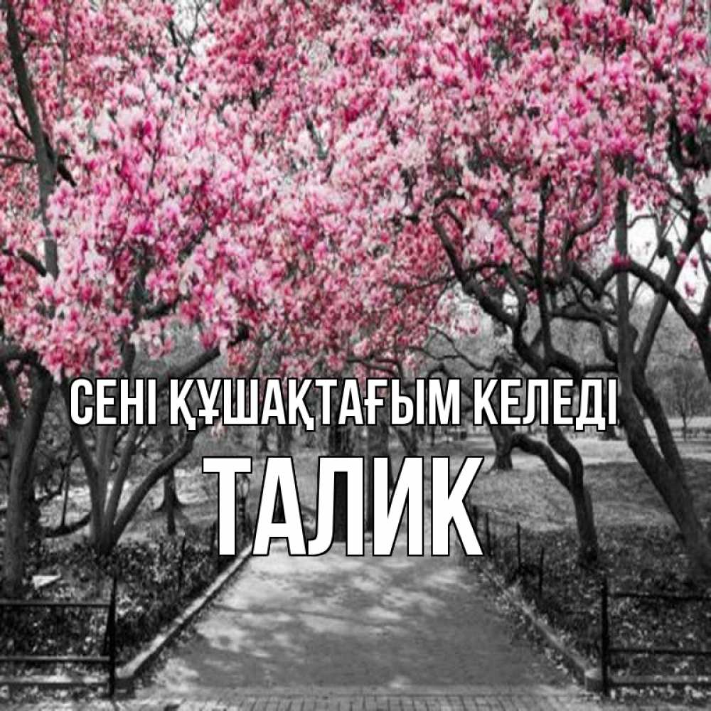 Күн сайын ашық хат с именем, Талик сені құшақтағым келеді обработанное фото Онлайн тегін жүктеп алу тілектері бар керемет карта 