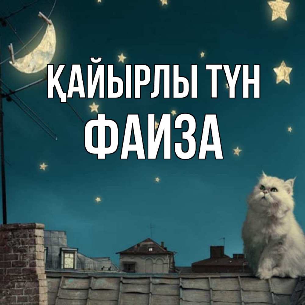 Күн сайын ашық хат с именем, Фаиза Қайырлы түн белый кот сидит на крыше Онлайн тегін жүктеп алу тілектері бар керемет карта 