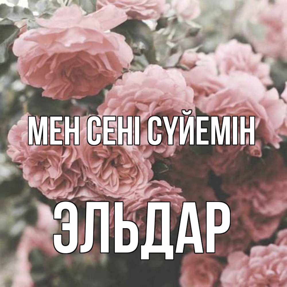 Күн сайын ашық хат с именем, Эльдар Мен сені сүйемін розы 3 Онлайн тегін жүктеп алу тілектері бар керемет карта 