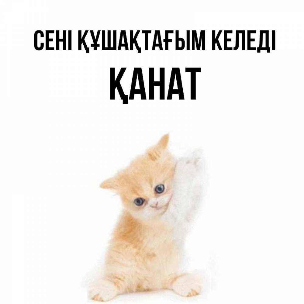 Күн сайын ашық хат с именем, Қанат сені құшақтағым келеді я хочу очень скорее обнимаешек Онлайн тегін жүктеп алу тілектері бар керемет карта 
