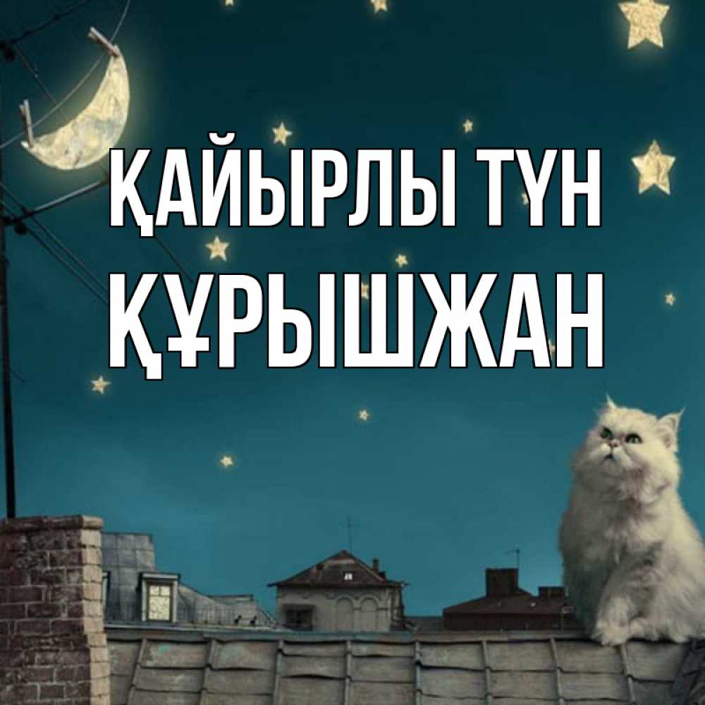 Күн сайын ашық хат с именем, ҚҰРЫШЖАН Қайырлы түн белый кот сидит на крыше Онлайн тегін жүктеп алу тілектері бар керемет карта 