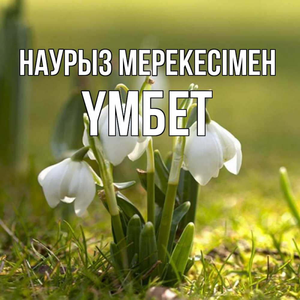 Күн сайын ашық хат с именем, ҮМБЕТ Наурыз мерекесімен ранние цветы 2 Онлайн тегін жүктеп алу тілектері бар керемет карта 
