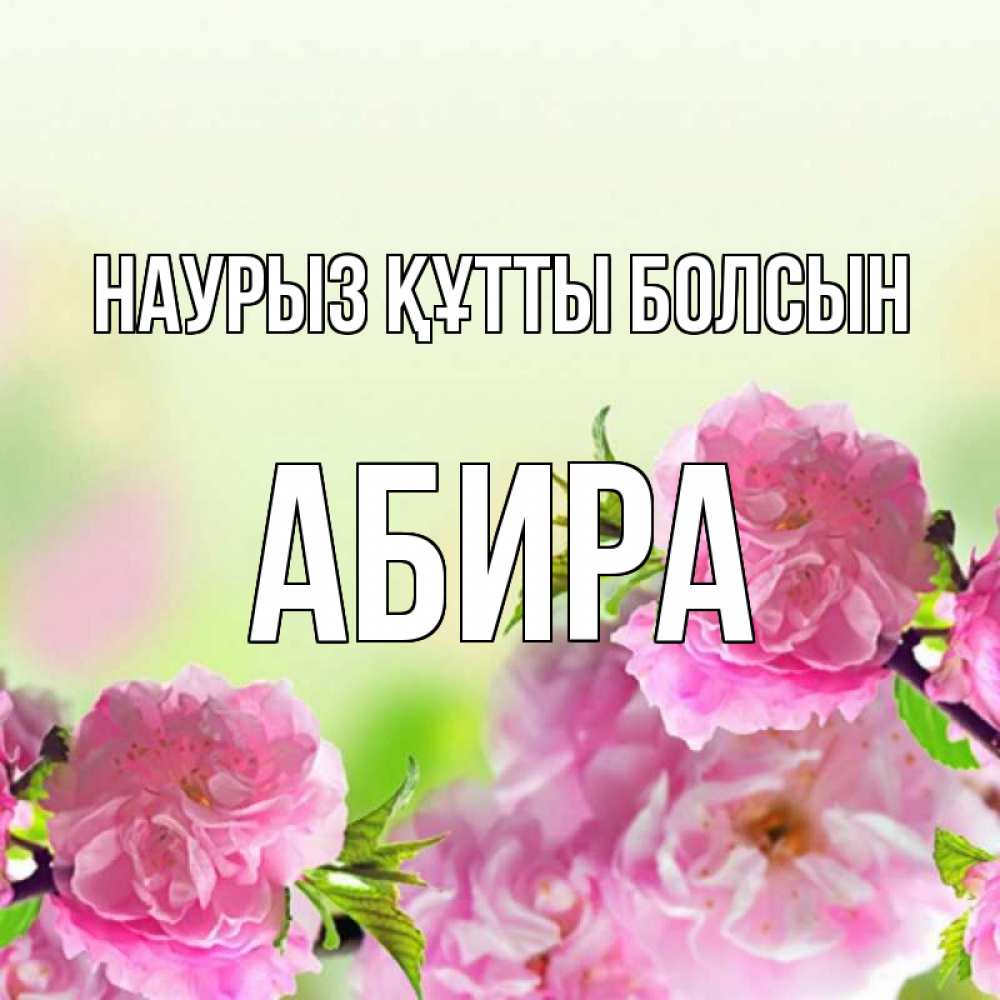 Күн сайын ашық хат с именем, АБИРА Наурыз құтты болсын цветы Онлайн тегін жүктеп алу тілектері бар керемет карта 