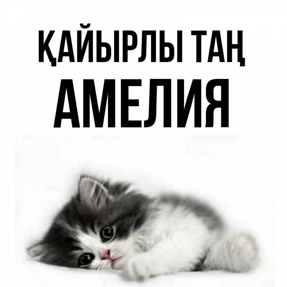 Күн сайын ашық хат с именем, Амелия Қайырлы таң кот лапки Онлайн тегін жүктеп алу тілектері бар керемет карта 